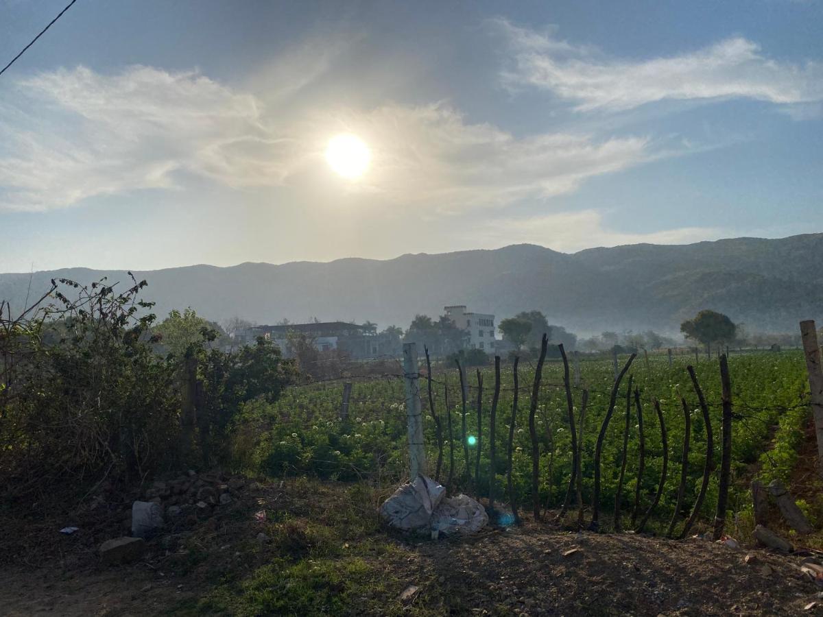 The Natural View بوشكار المظهر الخارجي الصورة